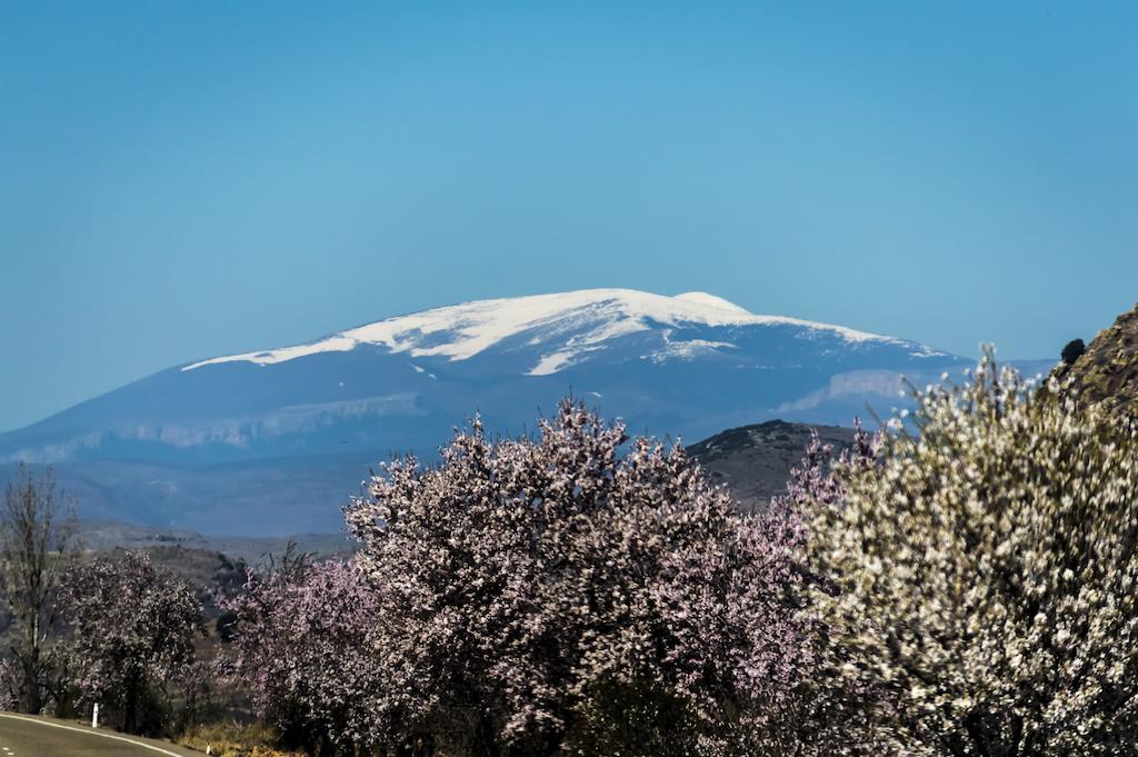 Casa Rural Los Lilos Gotor Kamer foto